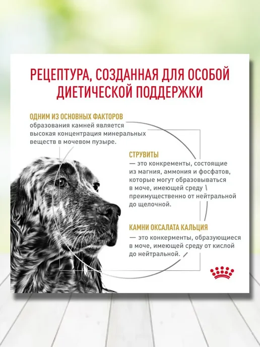 Сухой корм РОЯЛ КАНИН Лечебный Urinary для собак, 2 кг, фото 2