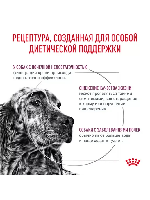 Сухой корм РОЯЛ КАНИН Renal Ренал для собак, 2 кг, фото 5