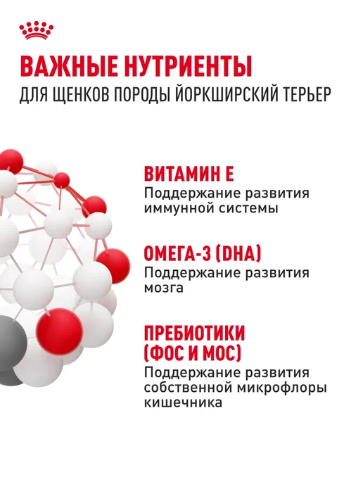 Сухой корм РОЯЛ КАНИН Йоркширский Терьер для собак, щенки, 0,5 кг, фото 5