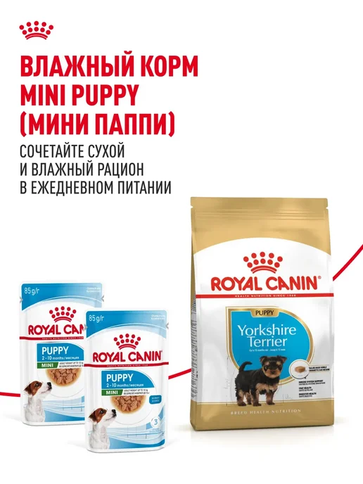 Сухой корм РОЯЛ КАНИН Йоркширский Терьер для собак, щенки, 0,5 кг, фото 8