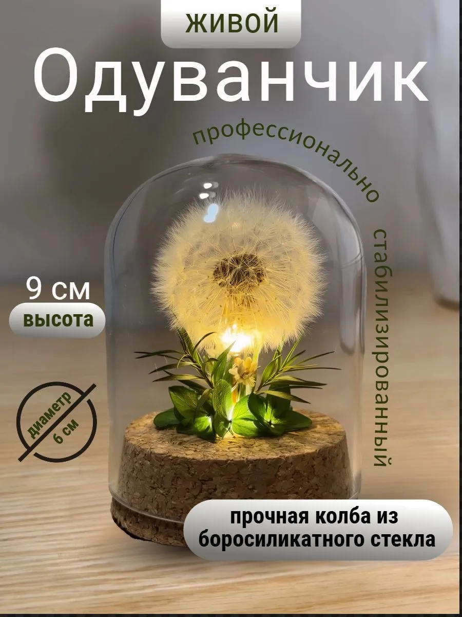 Цветок стабилизированный Одуванчик в Колбе с подсветкой