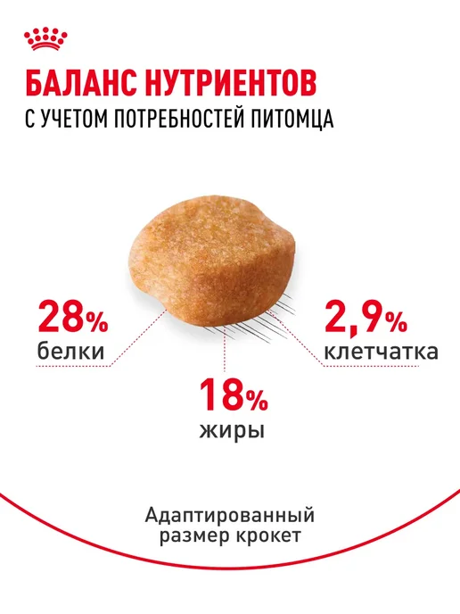 Сухой корм РОЯЛ КАНИН Йоркширский Терьер для собак, 0,5 кг, фото 6