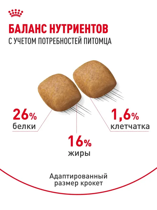 Сухой корм РОЯЛ КАНИН Шпиц Pomeranian для собак, взрослые, 0,5 кг, фото 3