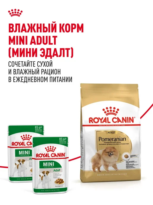 Сухой корм РОЯЛ КАНИН Шпиц Pomeranian для собак, взрослые, 0,5 кг, фото 8