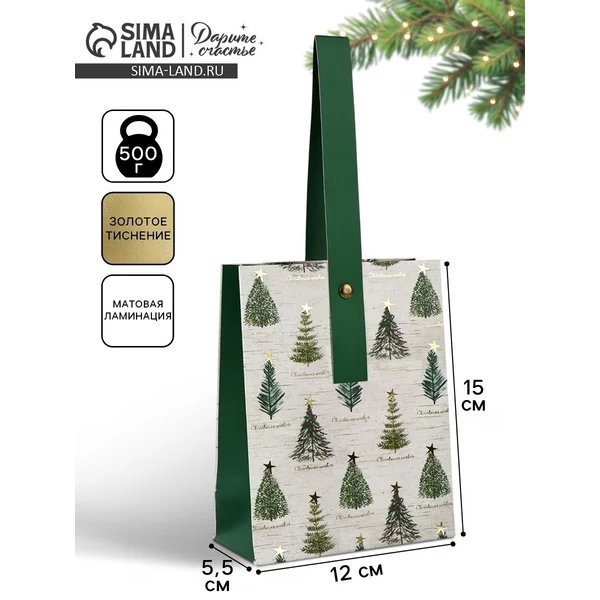 Пакет подарочный новогодний «Новогодние мечты»