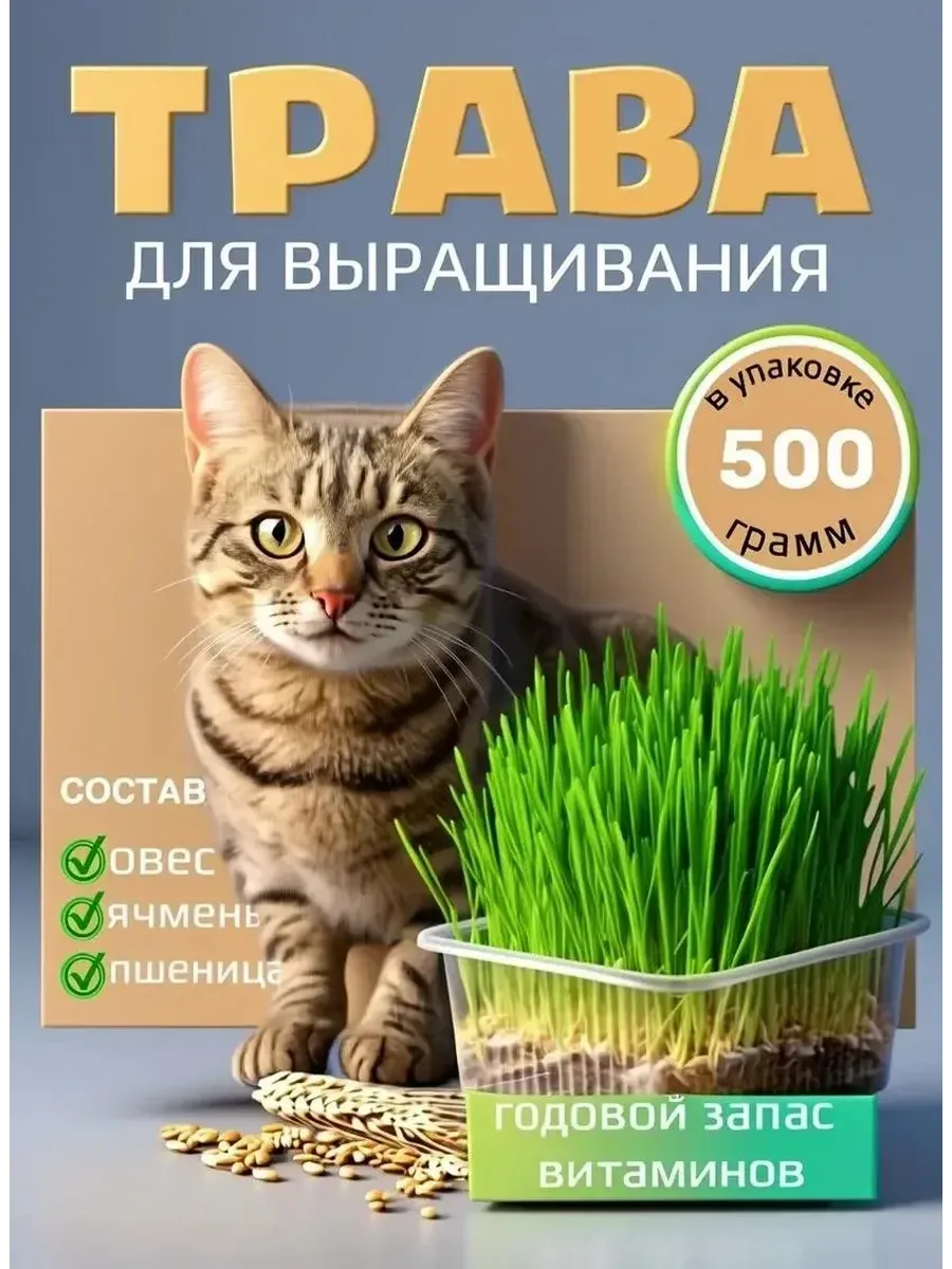 Трава для кошек