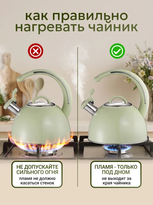 Astix Чайник для плиты со свистком 2.5л, 2,5 л, фото 5