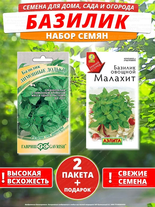 Семена базилик для дома сада посадки, вариант