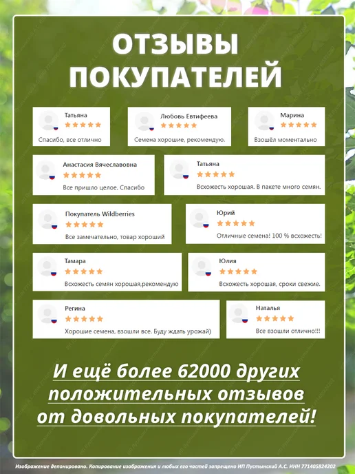 Семена базилик для дома сада посадки, вариант, фото 8