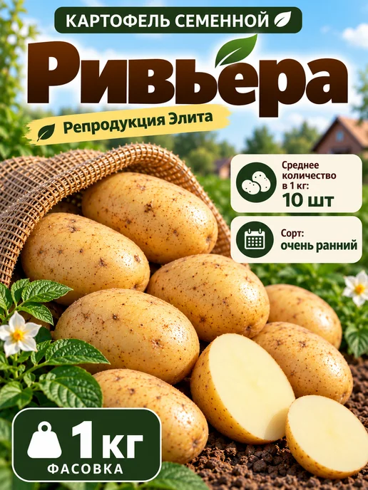 Myfanza Картофель семенной "Ривьера" 2 кг, 1 кг