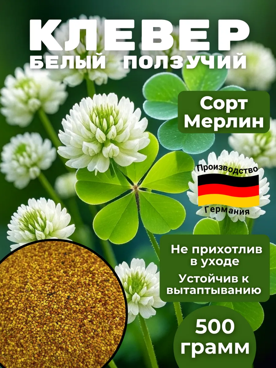Клевер белый ползучий многолетний семена Мерлин 500г
