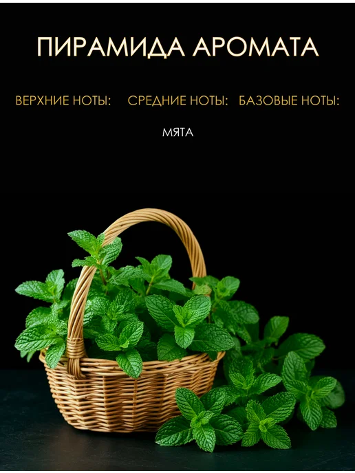 Parfum shop Автопарфюм в машину Мята, вариант, фото 3