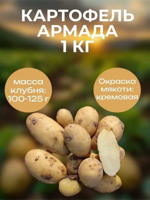 ОгородNIK Картофель семенной Армада, 1 кг, 1 кг