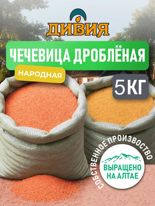 Дивия Алтайская Чечевица колотая Народная, вариант