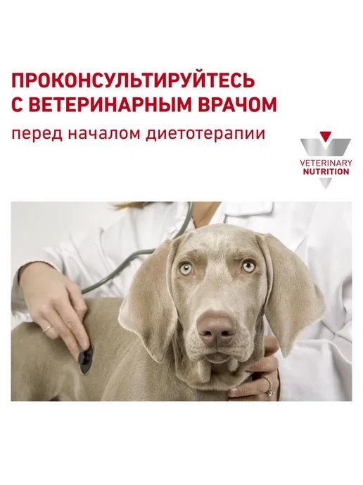 Сухой корм Royal canin Renal Select для собак, 2 кг, фото 2