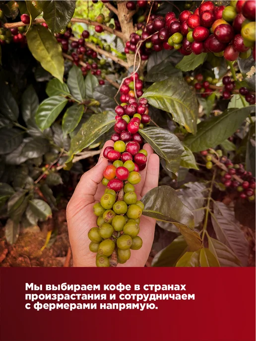 ATLAS Набор дрип кофе Микс Coffee, 6 шт по 12,5 г, 6 шт, 12,5 г, фото 5
