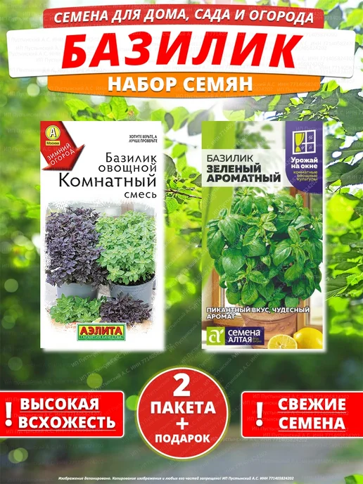 Семена базилик для дома сада посадки, вариант