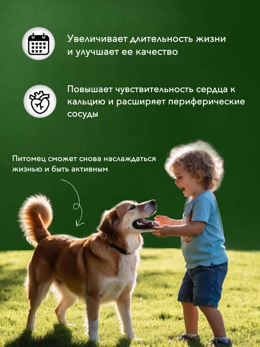 Boehringer Ingelheim Ветмедин 1.25мг 50 таблеток. Срок до 09 27, 1,25 мл, фото 2