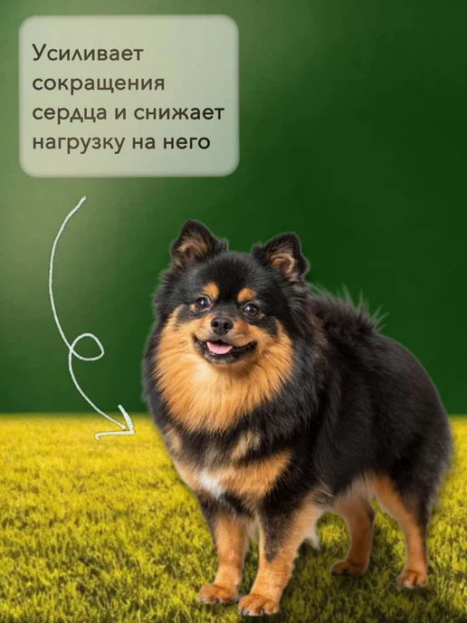 Boehringer Ingelheim Ветмедин 1.25мг 50 таблеток. Срок до 09 27, 1,25 мл, фото 3