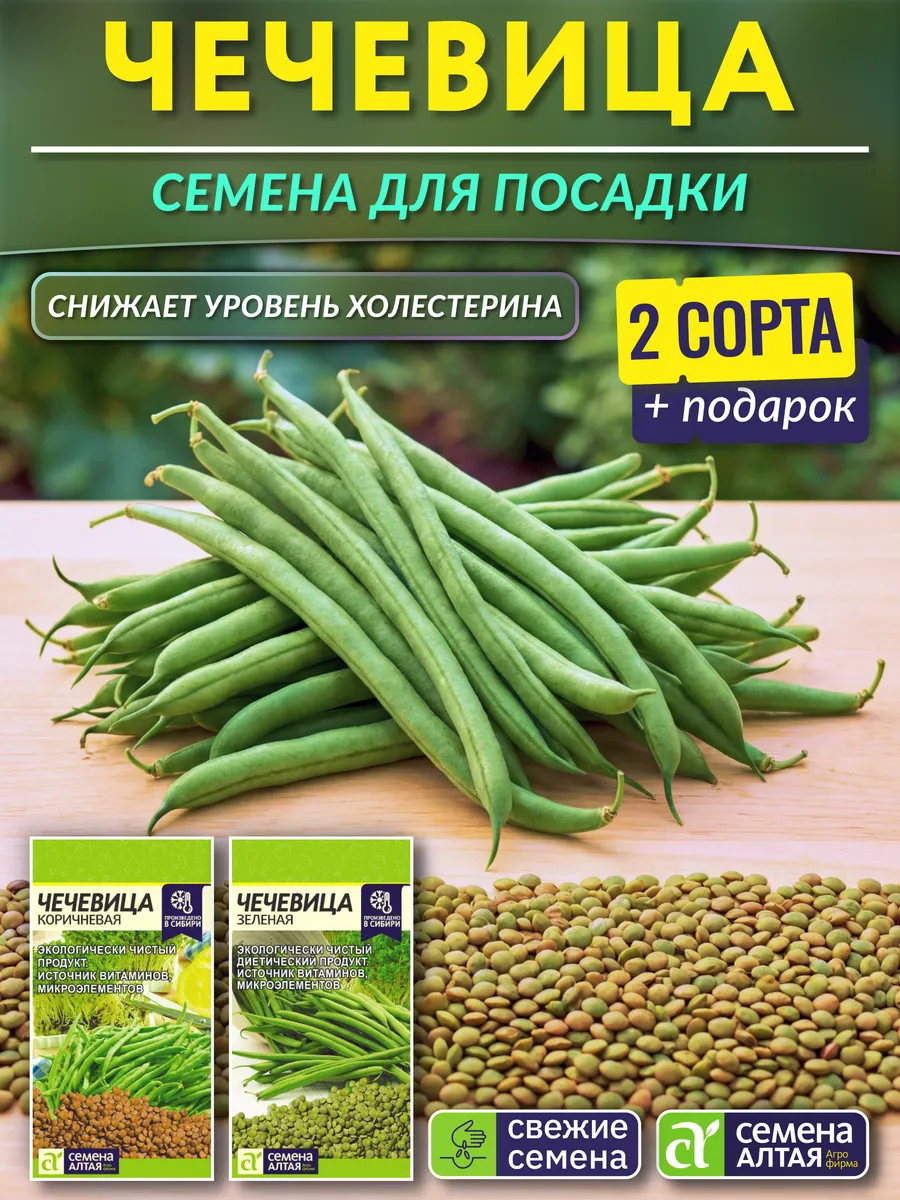 Семена чечевицы для посадки
