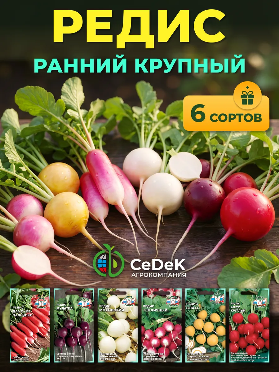 Семена редиса раннего
