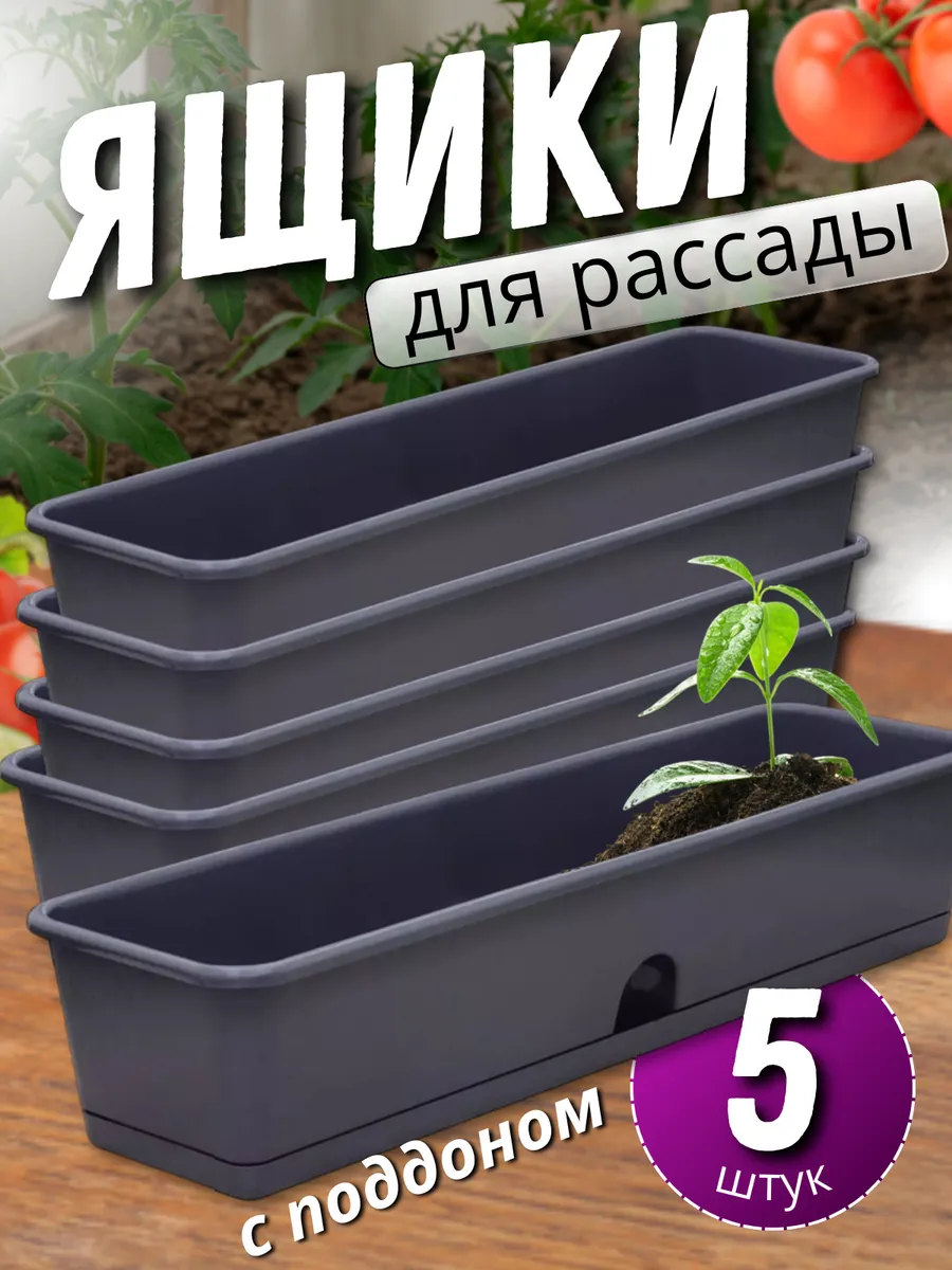 Ящик для рассады пластиковый с поддоном