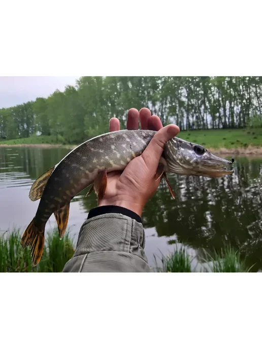 Levsha - NN Мормышки для рыбалки Личинка комара 1,2 г зелёный Fluo +, 0,5 г, фото 7